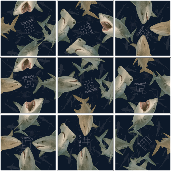 Sharks Squzzle